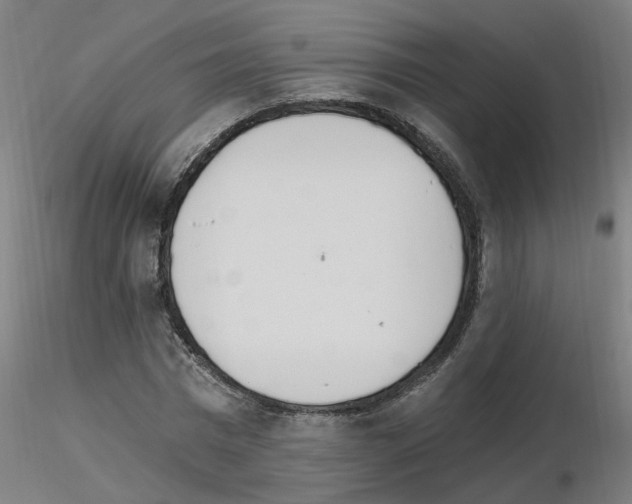 X0000115650777200912221330