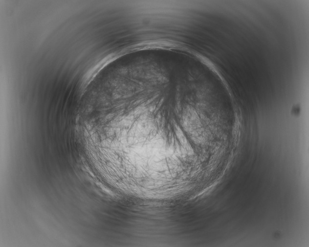 X0000115650778200912221330