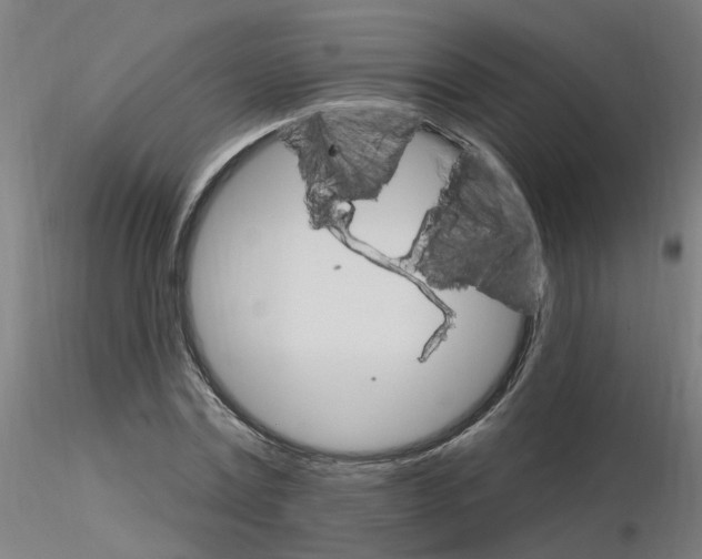 X0000115650779200912221330