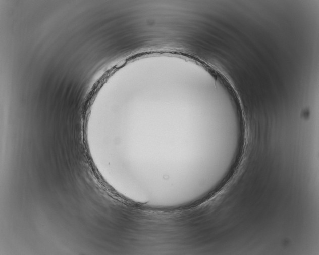 X0000115650781200912221330