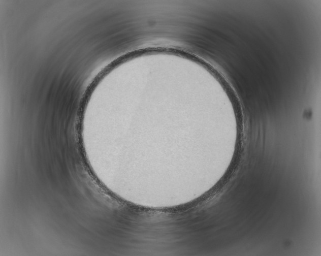 X0000115650783200912221330
