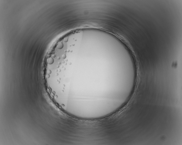 X0000115650784200912221330