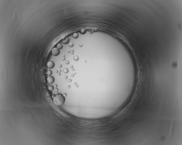 X0000115650786200912221330