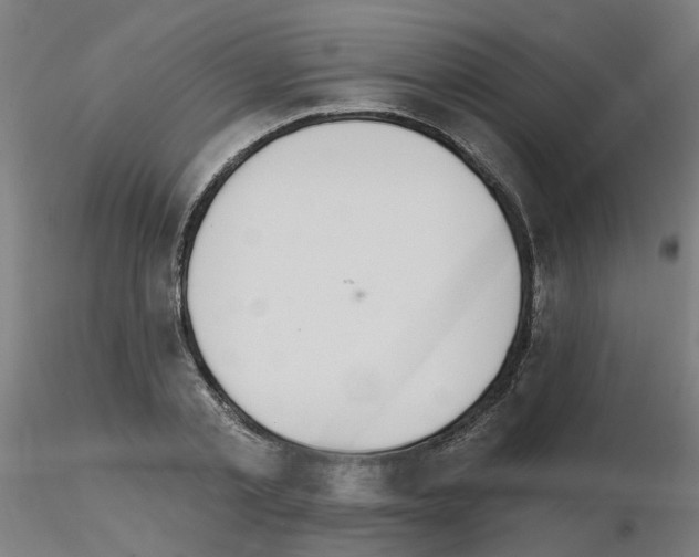 X0000115650789200912221330