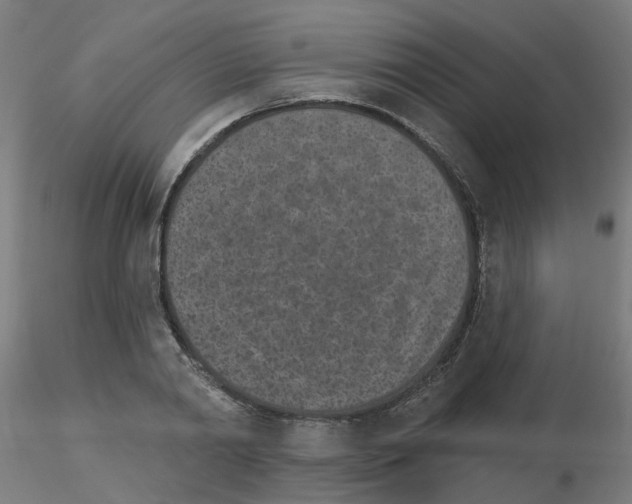 X0000115650790200912221330