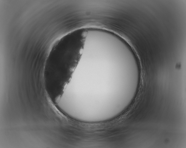 X0000115650791200912221330