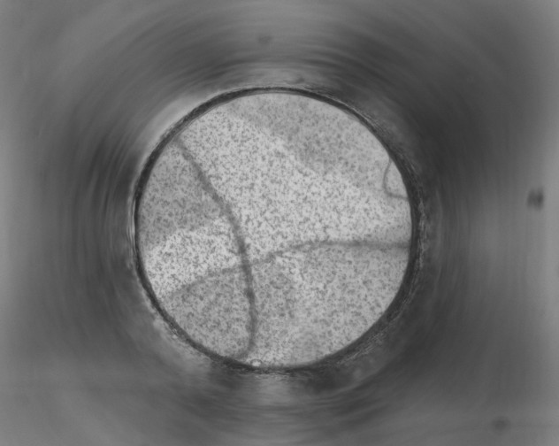 X0000115650792200912221330