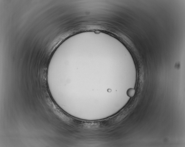X0000115650793200912221330