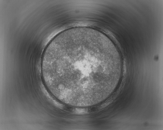 X0000115650794200912221330