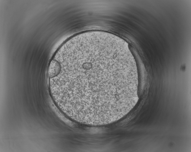 X0000115650796200912221330