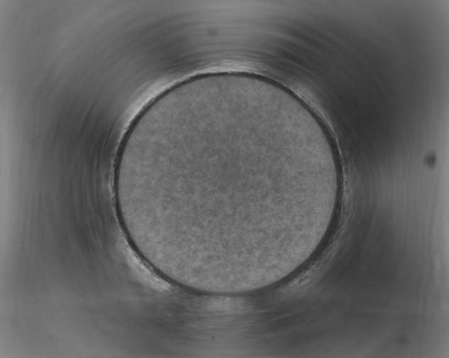 X0000115650797200912221330