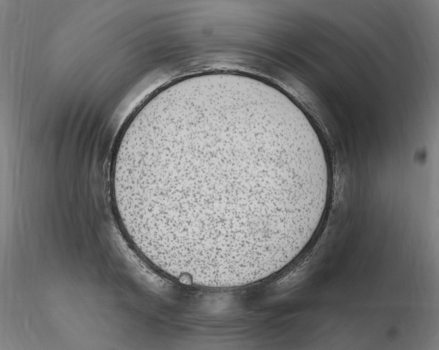 X0000115650798200912221330