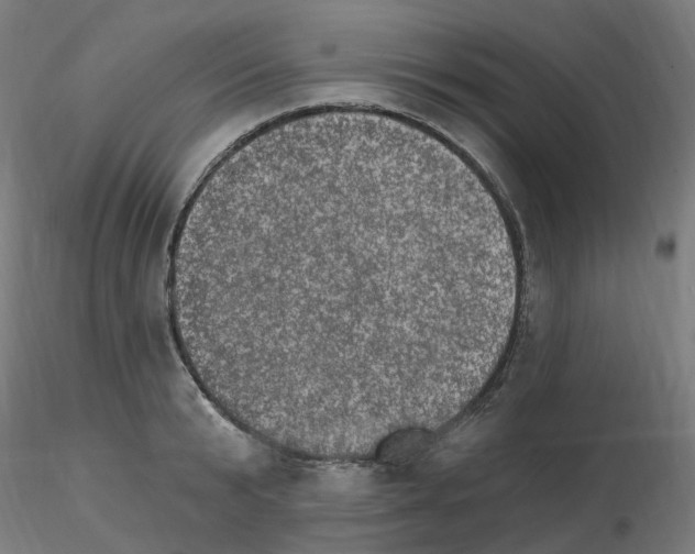 X0000115650799200912221330
