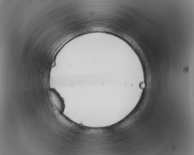 X0000115650801200912221330