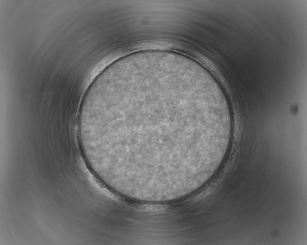X0000115650802200912221330