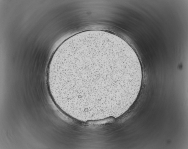 X0000115650803200912221330