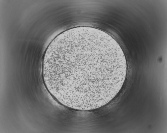 X0000115650804200912221330