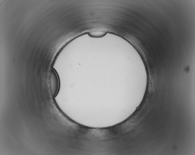 X0000115650805200912221330
