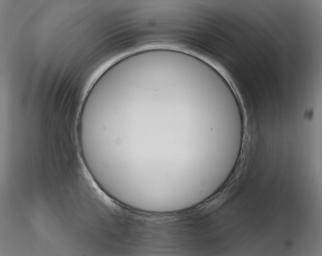 X0000115650807200912221330