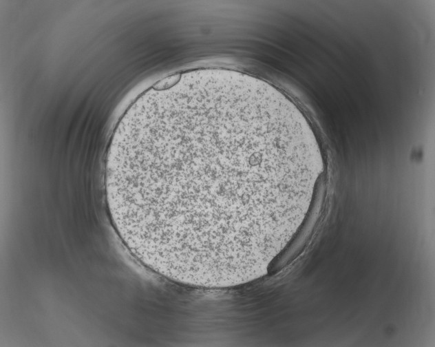 X0000115650808200912221330