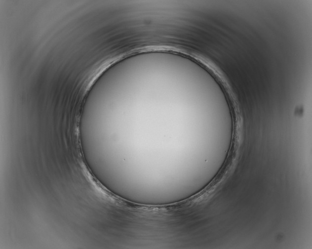 X0000115650809200912221330