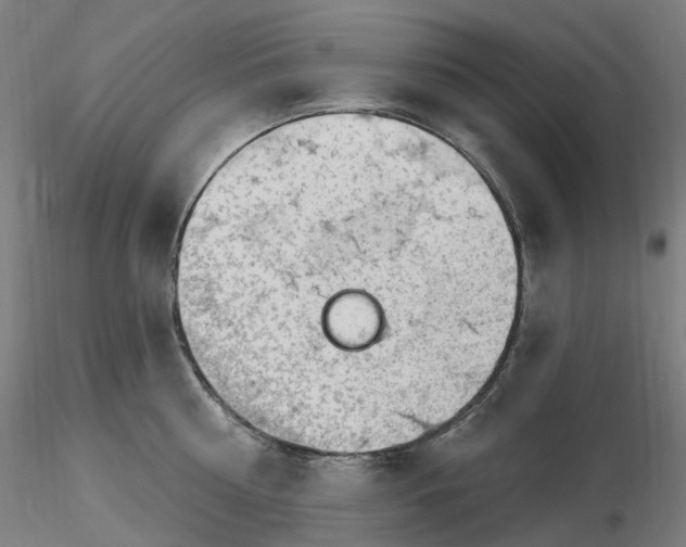X0000115650810200912221330