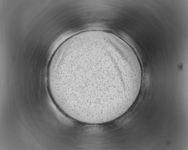 X0000115650811200912221330