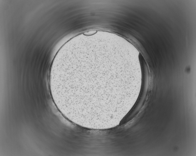 X0000115650812200912221330