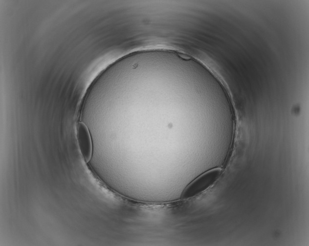 X0000115650813200912221330