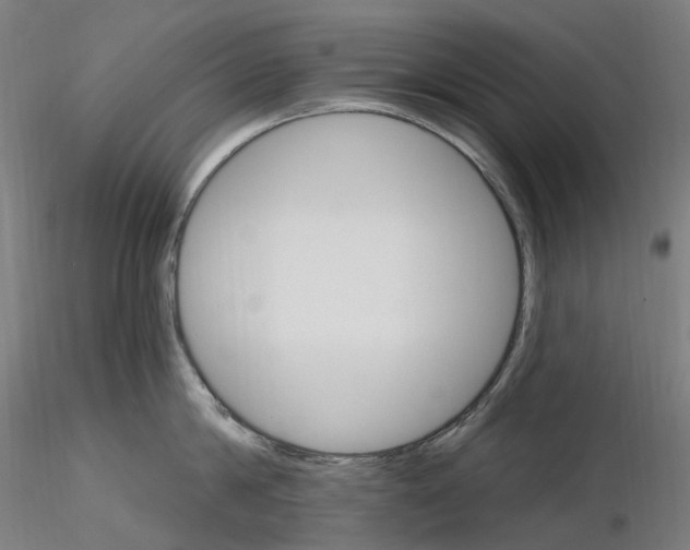 X0000115650814200912221330