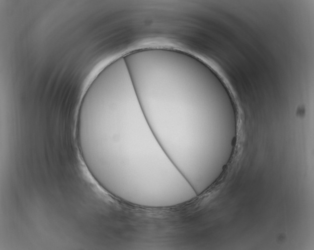 X0000115650815200912221330