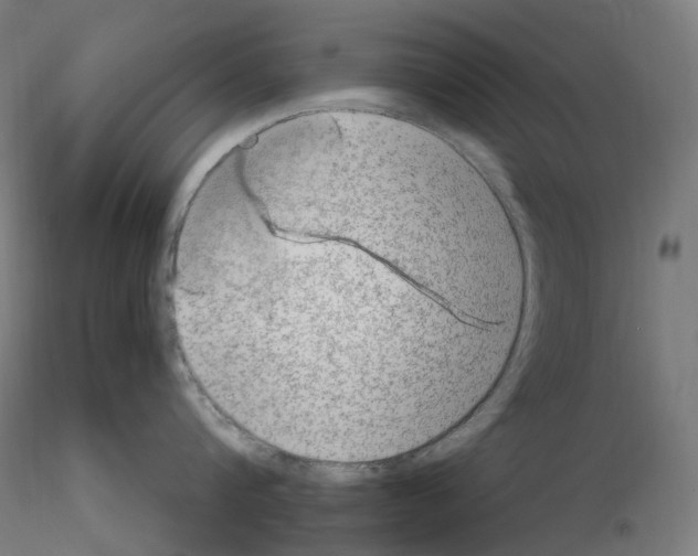 X0000115650816200912221330