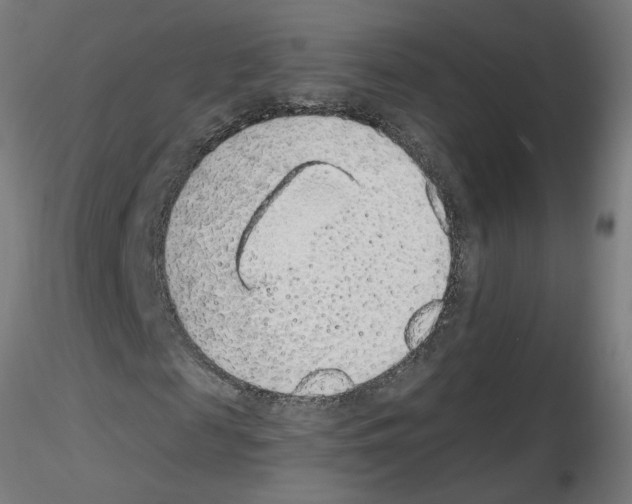 X0000115650817200912221329