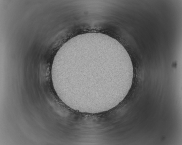 X0000115650818200912221329
