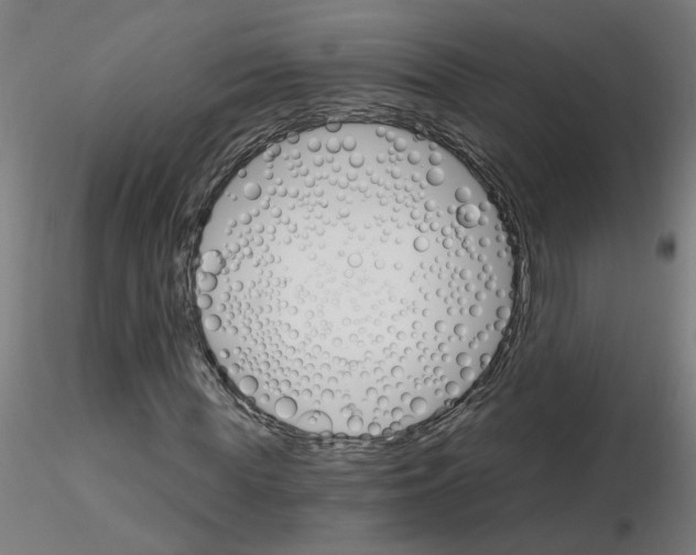 X0000115650819200912221329