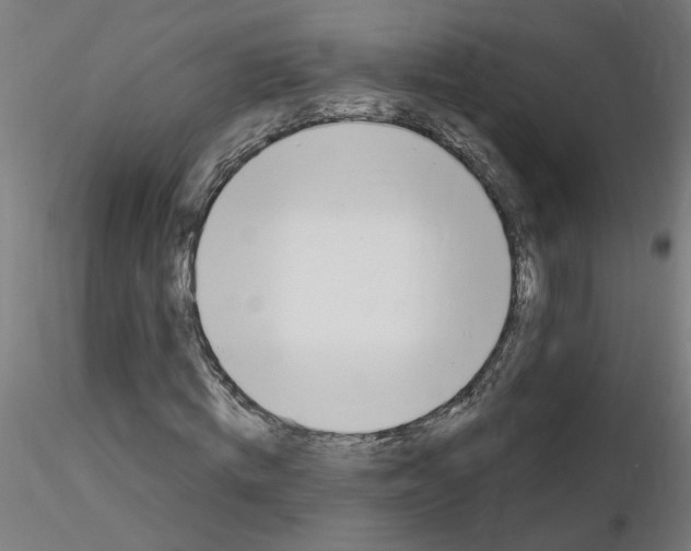 X0000115650820200912221329