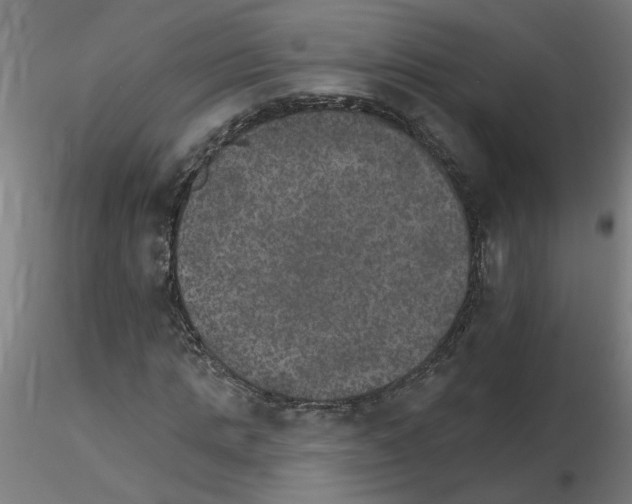 X0000115650821200912221329