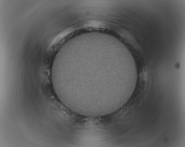 X0000115650822200912221329