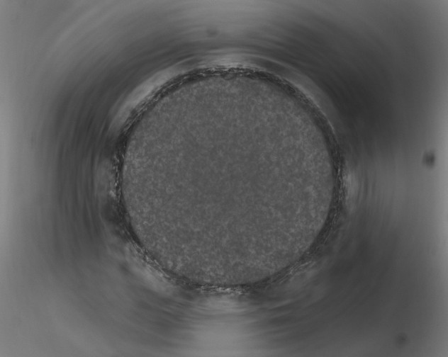 X0000115650823200912221329