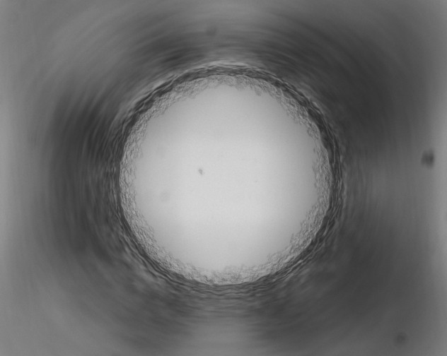 X0000115650824200912221329