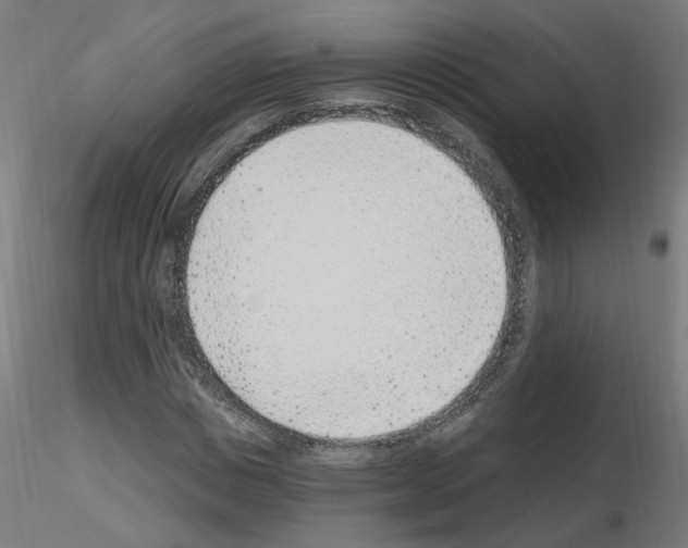 X0000115650825200912221329