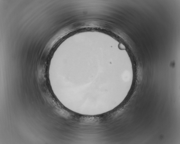 X0000115650826200912221329