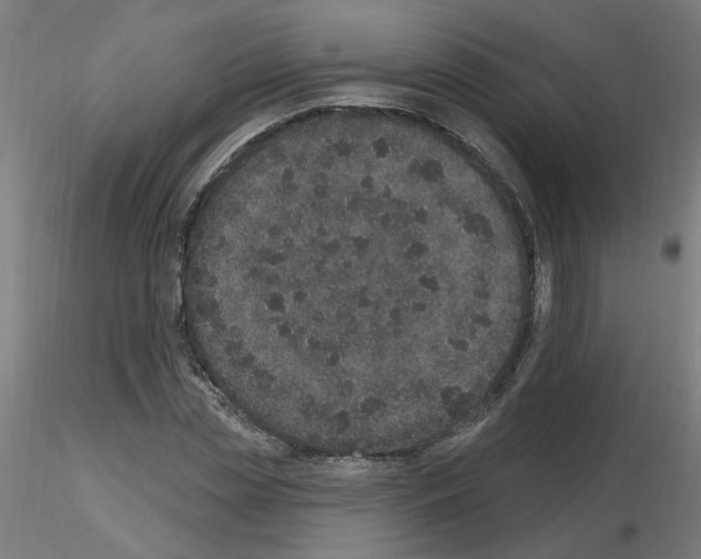 X0000115650829200912221329