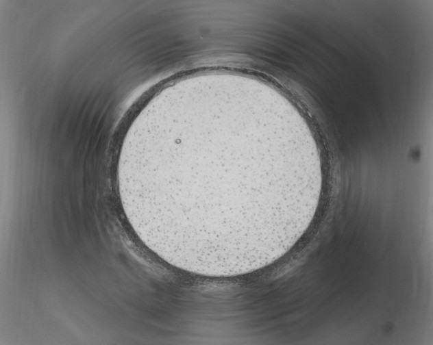 X0000115650830200912221329