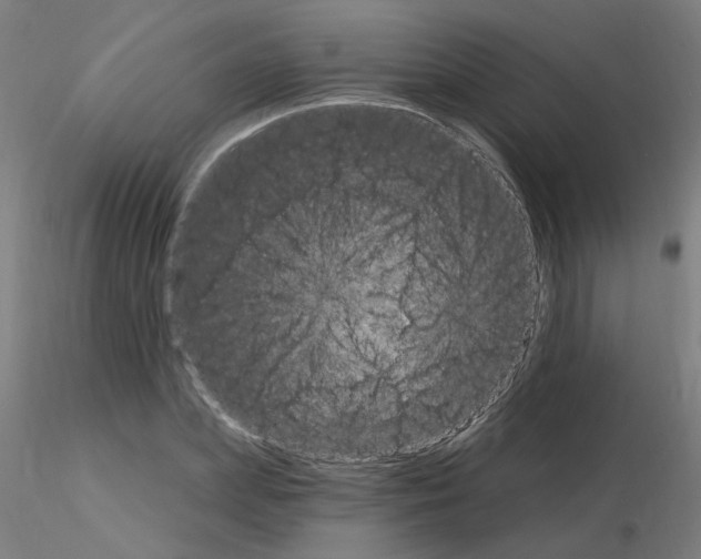 X0000115650831200912221329