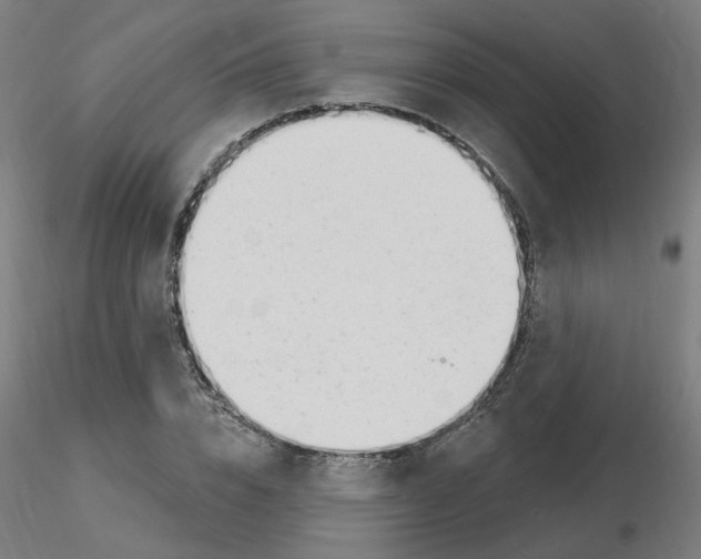 X0000115650832200912221329