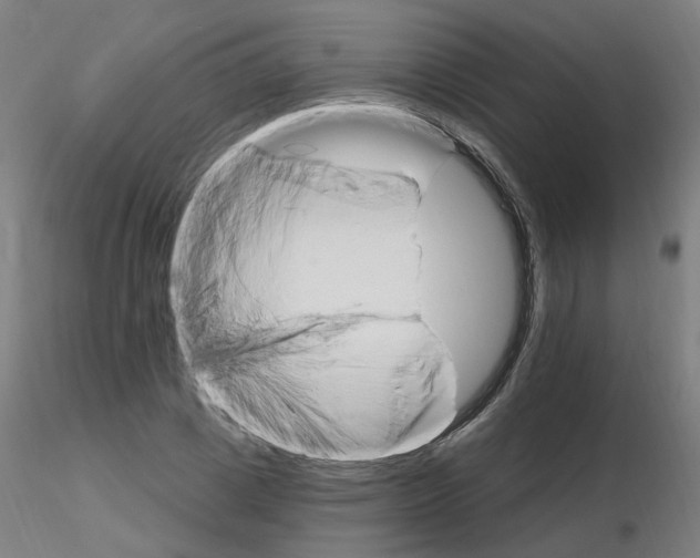 X0000115650833200912221329
