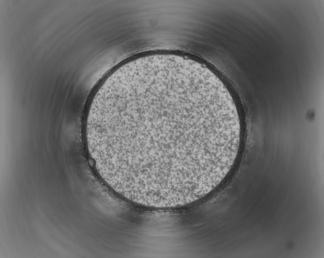 X0000115650834200912221329