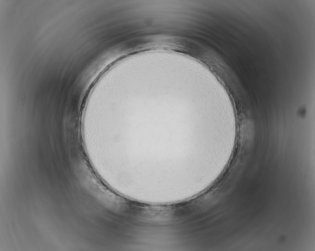 X0000115650836200912221329