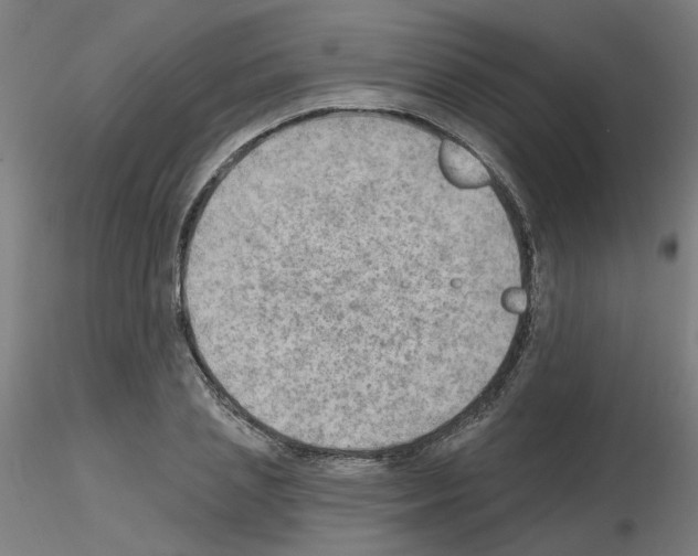 X0000115650837200912221329